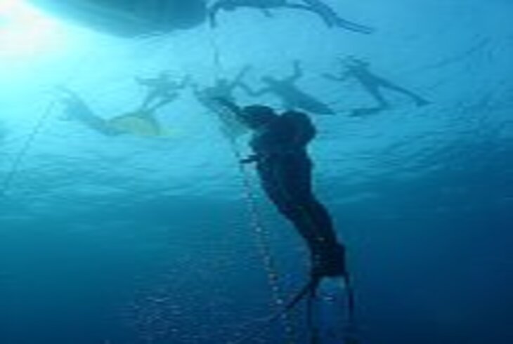 Serbest Dalışta Fizyolojik Olaylar ve Adaptasyonlar